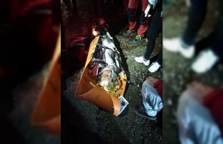 Dağda kaybolan yaşlı adam ormanlık alanda bitkin...