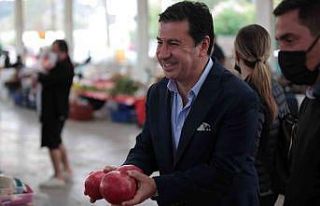 Dalında kalan ürünlere Bodrum Belediyesi talip...