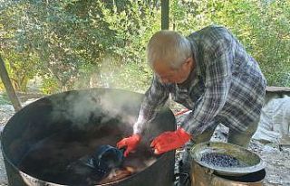 Defne yağı binbir zahmetle yapılıyor, litresi...
