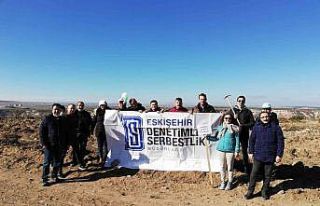 Denetimli Serbestlik personelleri bin tane fidan dikti