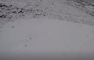 Denizli’de yılın ilk karı toprakla buluştu