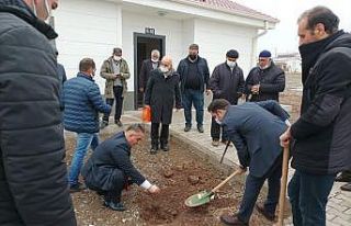 Deprem konutlarının etrafı yeşillendirilmeye başladı