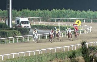 Diyarbakır Büyükşehir Belediye Başkanlığı...