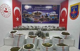 Diyarbakır’da 593 kilo esrar ele geçirildi