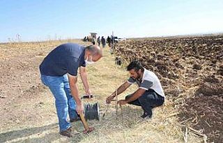 Diyarbakır’da jeotermal atağı