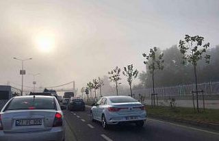 Diyarbakır’da sis, 3 gündür etkisini sürdürüyor