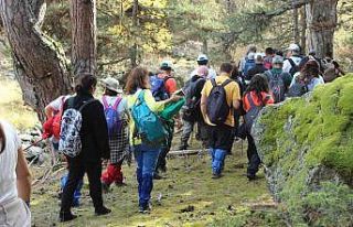 Doğa tutkunları 12 kilometrelik Guz Deresi Kanyonu’nun...