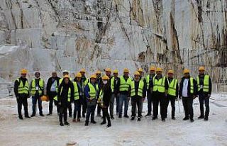 Doğal taş madencileri iş sağlığı ve güvenliği...