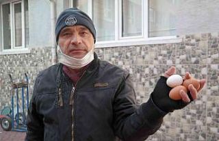 Doğal yumurtalar üreticiden tüketiciye uygun fiyattan...
