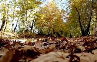 Doğu Anadolu’da mevsim normallerine göre sıcaklık...