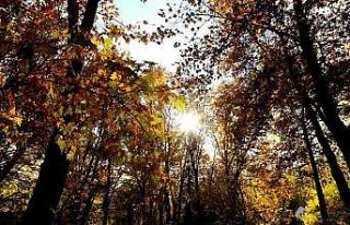 Doğu Anadolu’da sıcaklıklar 4 ila 6 derece arttı