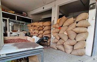 Doların yükselişi fındık fiyatlarını hareketlendirdi