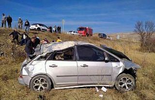 Domuz sürüsüne çarpan otomobil tarlaya uçtu:...