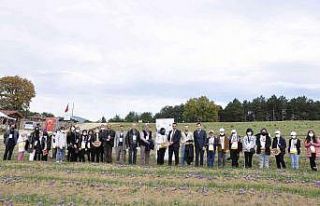"Dünyanın en pahalı baharatı" geleceğe...
