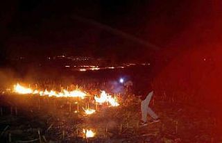 Düzce’de rüzgarın etkisiyle büyüyen yangına...