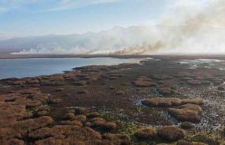 Eber Gölü yangını sabaha karşı söndürüldü