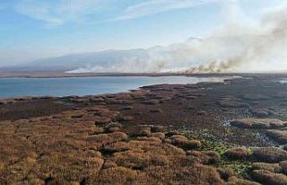 Eber Gölü’nde yine yangınlar başladı
