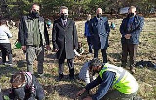Edremit’te geleceğe nefes oldular