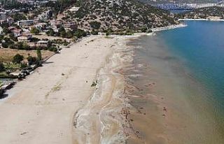 Eğirdir Gölü’nü kurtaracak çalıştayın sonuç...