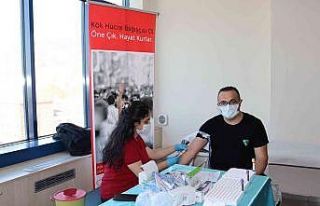 Eğitimin ardından kök hücre bağışında bulundular