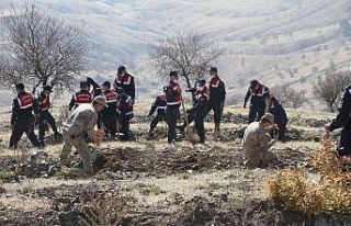 Elazığ Jandarma, Harput Mahallesine 2 bin fidan...