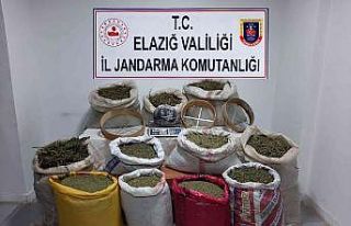 Elazığ’da 210 kilo esrar, 1 kilo skunk ele geçirildi
