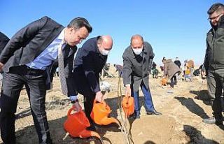 Ereğli’de binlerce fidan toprakla buluştu