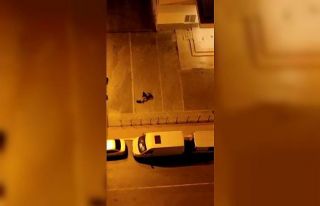 Esenyurt’ta şiddet gören köpek koruma altına...