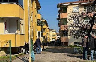 Eve servis getiren kurye, apartman sakinini öldürdü