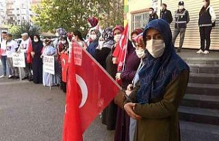 Evlat nöbetindeki ağabey, kardeşini HDP ve PKK’dan...