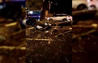 Eyüpsultan’da ağaç motosikletli kuryenin üstüne...