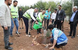 Eyyübiye’deki okullarda ağaçlandırma seferberliği...