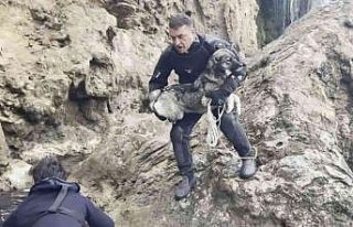 Falezlerde mahsur kalan köpek deniz polisinin ’film...