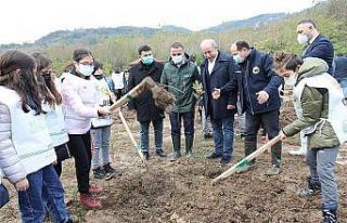 Fatsa’da dikilen fidan sayısı 5 bin 500’e ulaştı