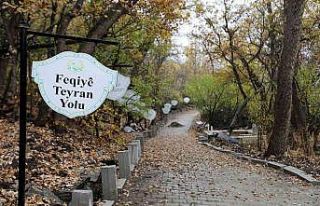 Feqiye Teyran Türbesi’nin çevresi onarıldı