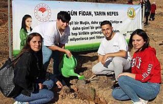 Fidanlar toprakla buluştu