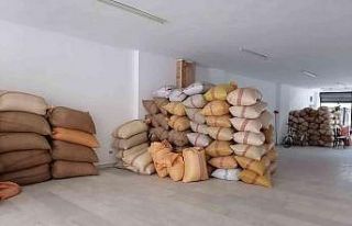 Fındık fiyatı 3 haftadır yerinde sayıyor