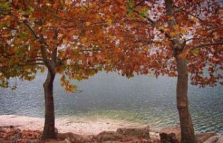 Fırat Nehri kıyısında sonbahar bir başka güzel