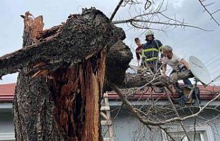 Fırtına ağacı evin üzerinde devirdi