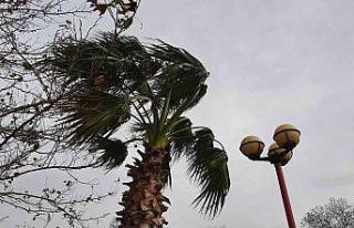 Fırtına hayatı olumsuz etkiledi