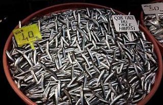 Fırtına sebebiyle balık fiyatları ikiye katlandı