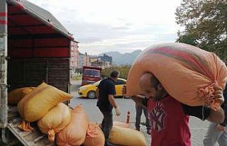 Fiyat farkı üreticiyi TMO’ya yöneltiyor