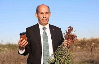 Formülü padişah fermanıyla yasaklanmıştı, yıllar...
