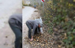 Gazeller toplanıyor