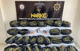 Gaziantep’te 31 kilo esrar ele geçirildi