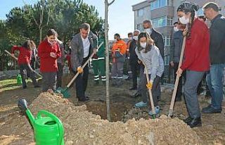 Gaziosmanpaşa’da çocuklar, Milli Ağaçlandırma...