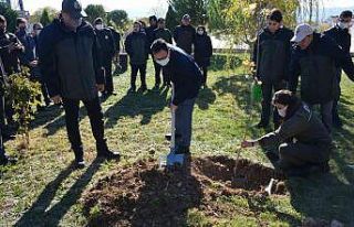 Gediz’de 300 fidan toprakla buluştu