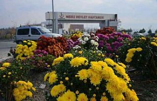 Gediz’de her mevsim çiçek açıyor