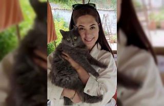 Genç doktorun kahreden ölümü: Kedisini kurtarmaya...