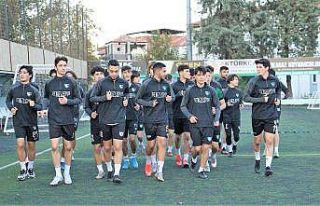 Genç horozlar seri peşinde